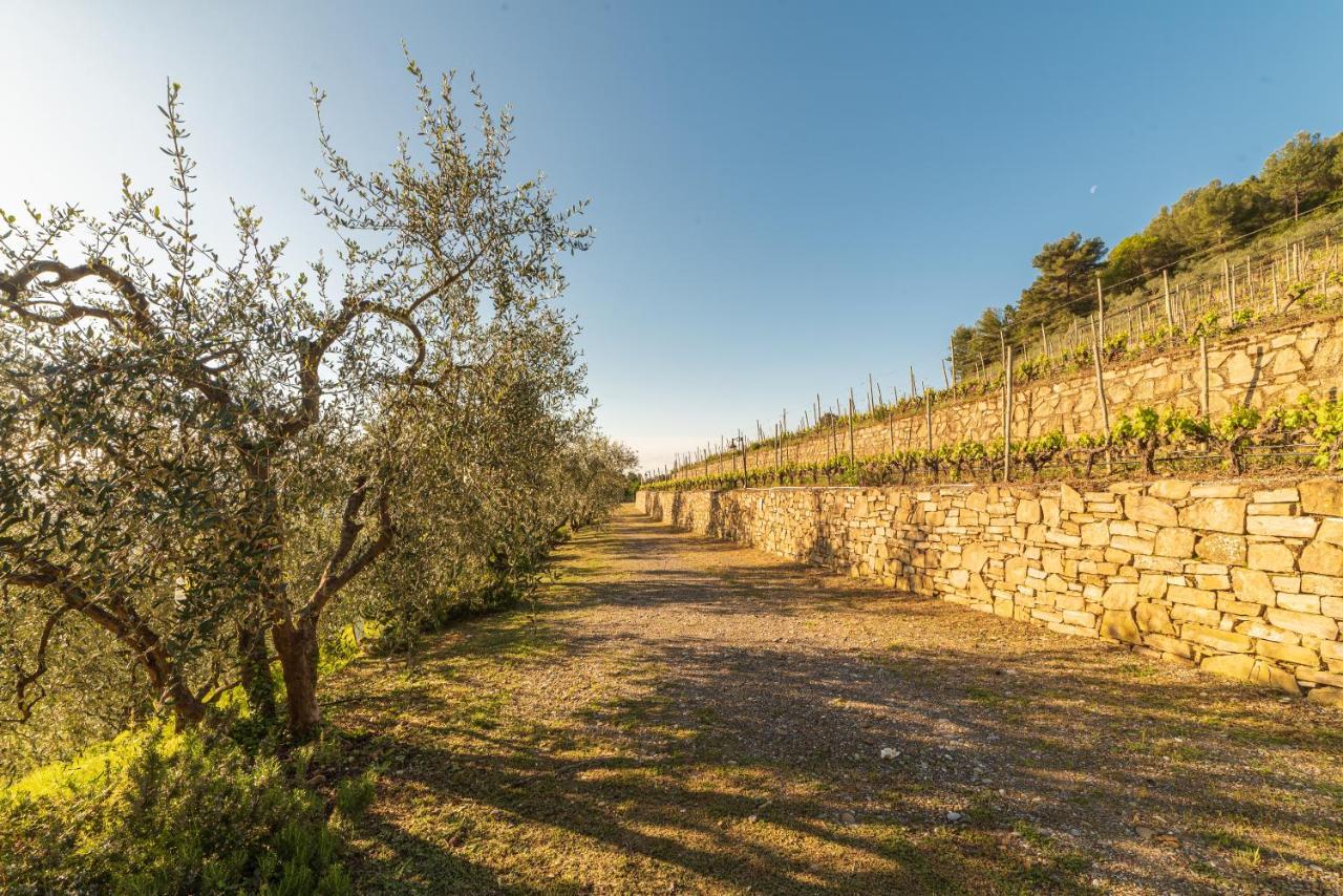 Casetta Mari Immersa In Un Vigneto Dolceacqua Ngoại thất bức ảnh
