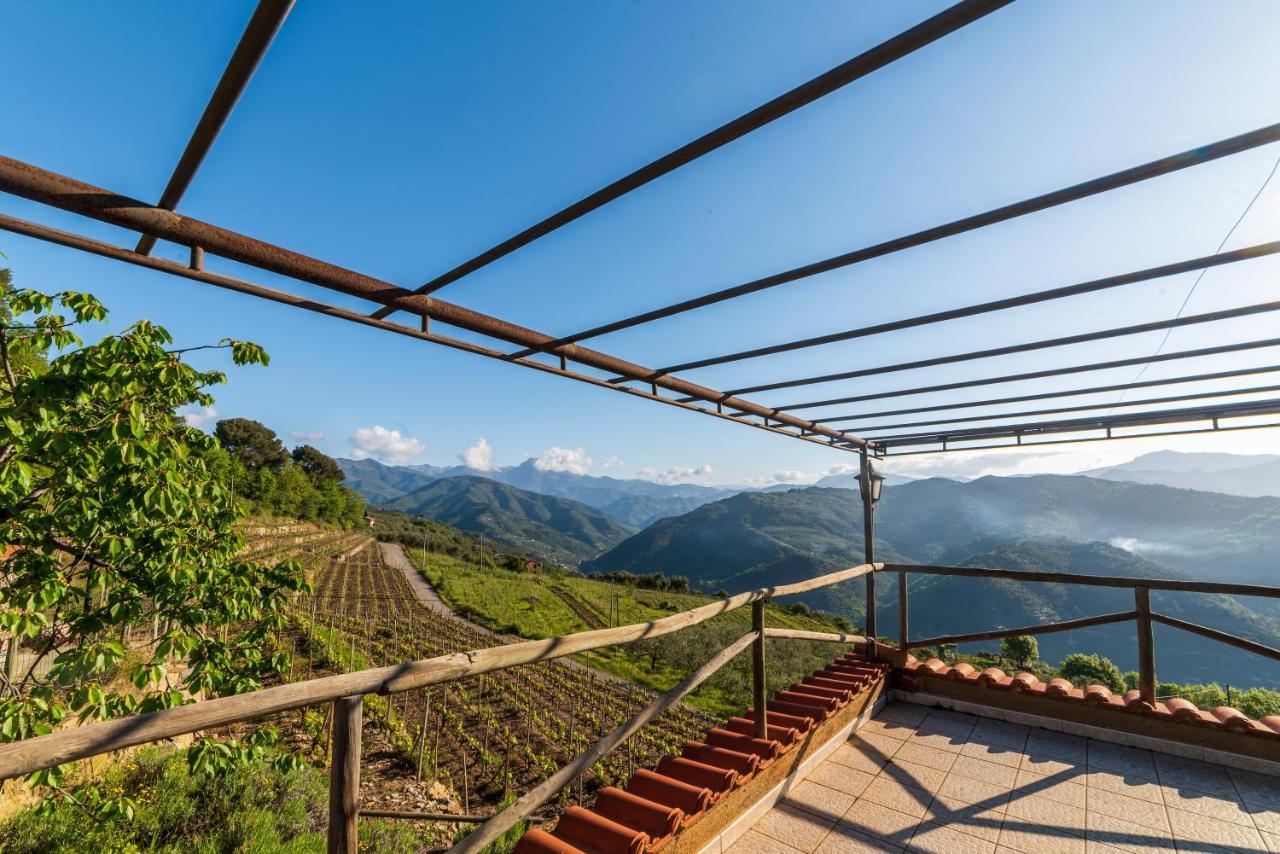 Casetta Mari Immersa In Un Vigneto Dolceacqua Ngoại thất bức ảnh