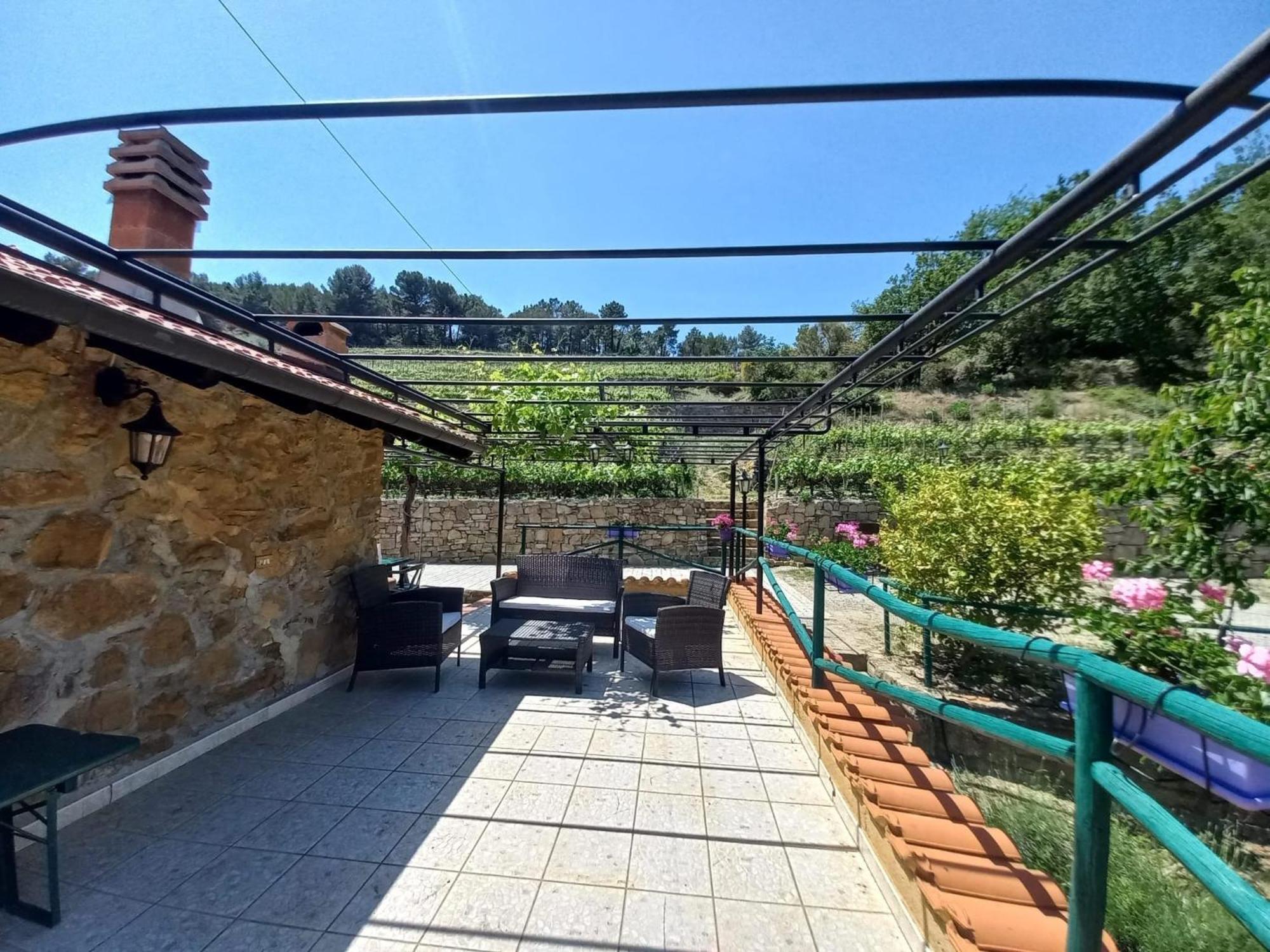 Casetta Mari Immersa In Un Vigneto Dolceacqua Ngoại thất bức ảnh