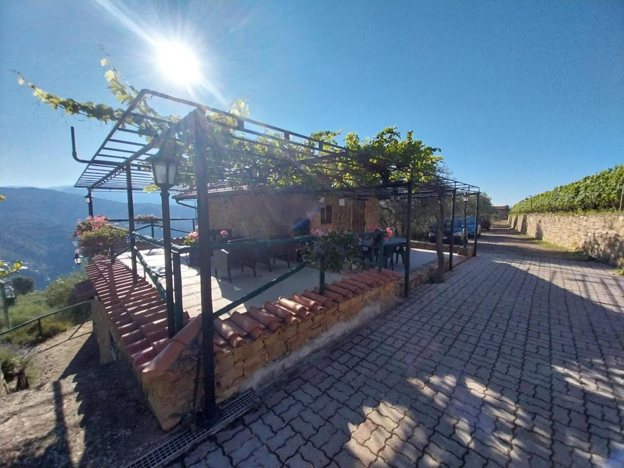 Casetta Mari Immersa In Un Vigneto Dolceacqua Ngoại thất bức ảnh